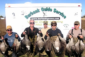 Goose Success in Sun- no problem for Burbank!